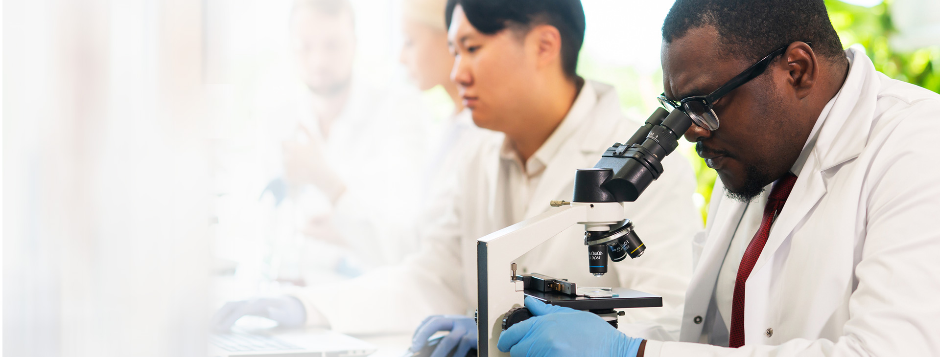 Read more about the article Microbial Frontiers Innovations and Challenges Shaping the Future of Microbiology